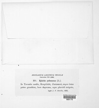 Image Associated With the Occurrence